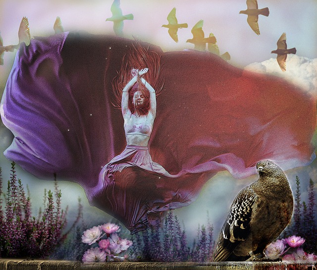 他所经历的 他所经历的