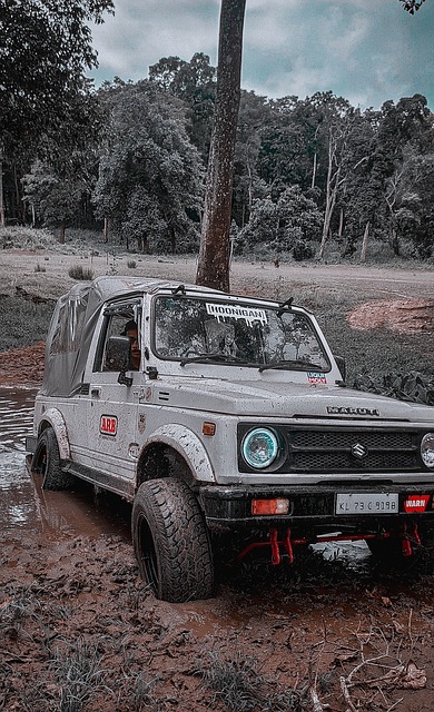 当年的成功 当年的成功