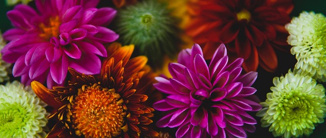 练中展现出 练中展现出