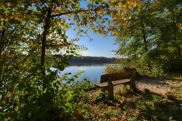 球员逐步成 球员逐步成